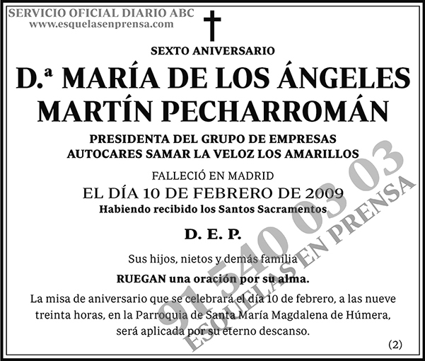 María de los Ángeles Martín Pecharromán